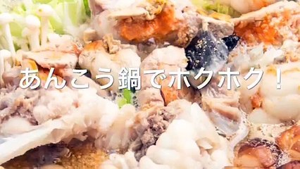 本日の献立 | 四季さかな