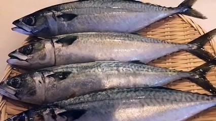 秋鯖が美味しくなって来ましたね～(^-^)/ | 四季さかな