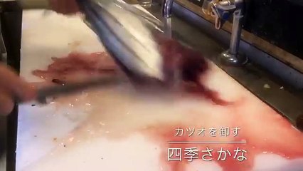 目に青葉～ 山 ホトトギス 初カツオ | 四季さかな
