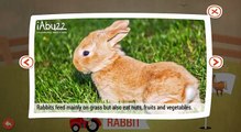 Kids Learn Farm Animals Names & Sounds - Toddler Kids Puzzle by Abuzz Educational Games For Children