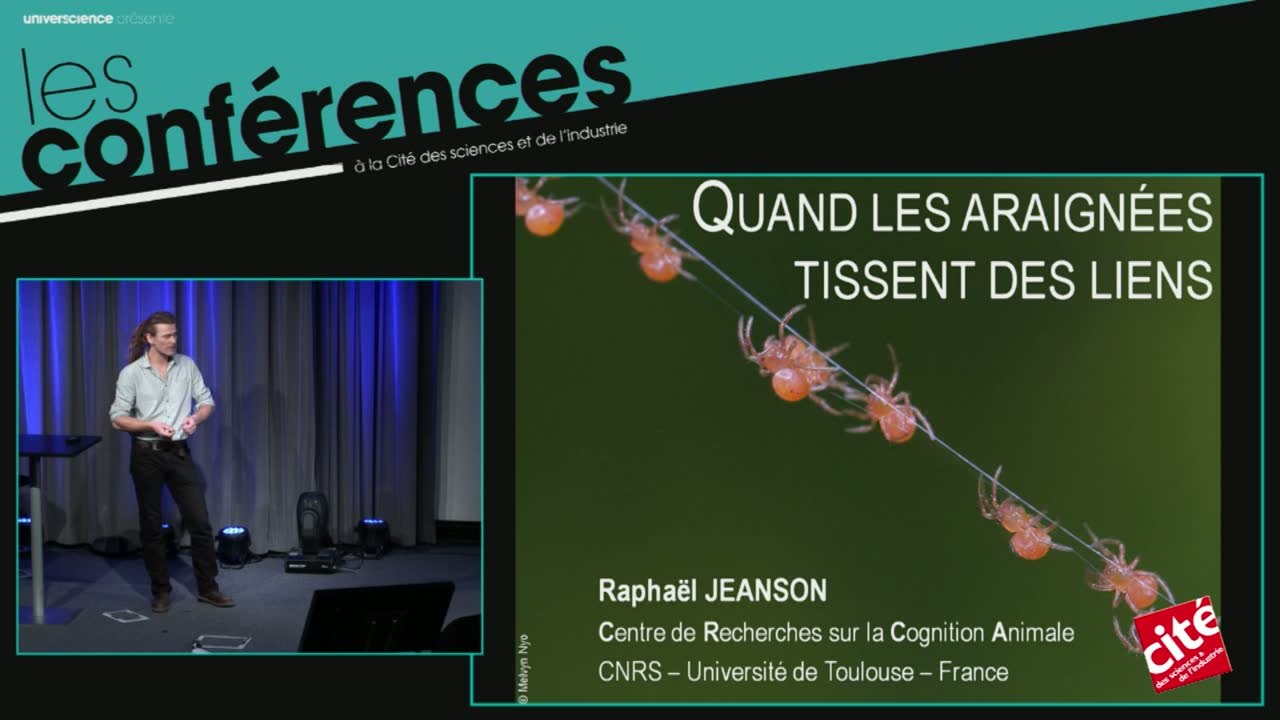 Quand les araignées tissent des liens