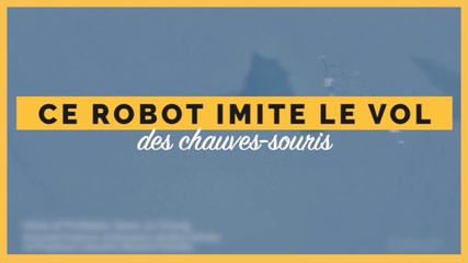 Ce robot volant imite les mouvements d'une chauve-souris