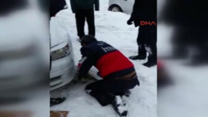 Bingöl'de Donmak Üzere Olan Kediyi Itfaiye Kurtardı