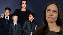 Brad Pitt Sure To Win Joint Custody Of The Kids  Brangelina DIVORCE