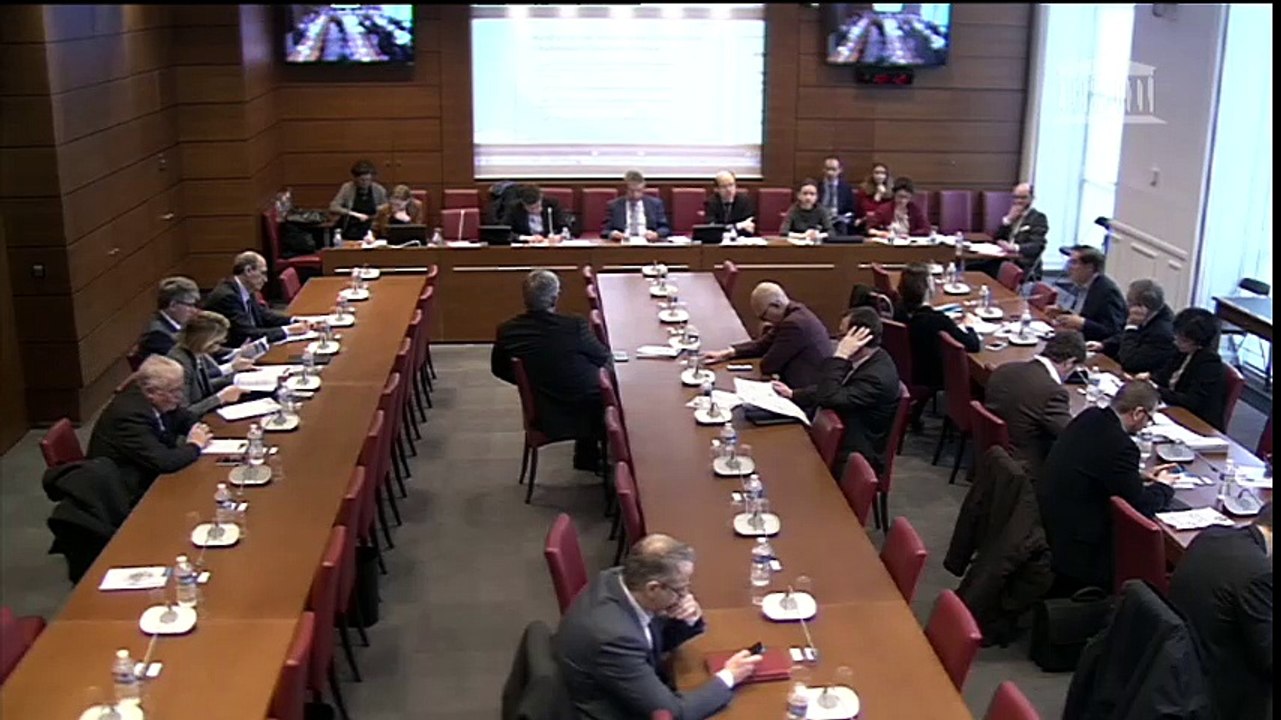 Pierre-Alain Muet : évasion fiscale, état des lieux (commentaire du rapport du CESE)