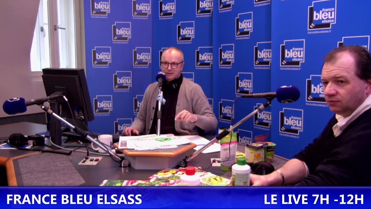 La Grainerie Hubert et les semences