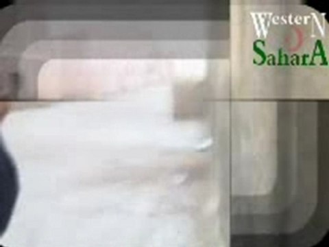 sahara occidental intifada por la independdencia