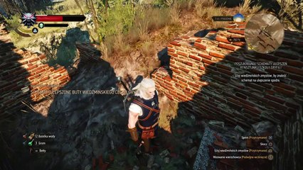 Wiedźmin 3 Dziki Gon (47) Ulepszony Rynsztunek Gryfa