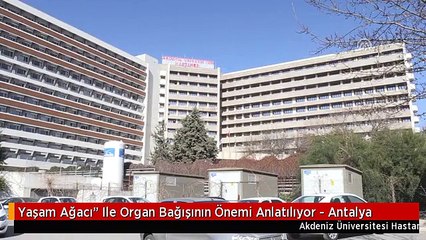 Yaşam Ağacı" Ile Organ Bağışının Önemi Anlatılıyor - Antalya
