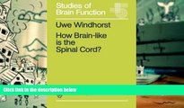 PDF  How Brain-like is the Spinal Cord?: Interacting Cell Assemblies in the Nervous System