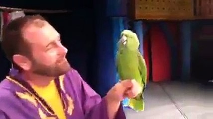 bu papağan adamı verem eder