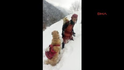 Sosyal Medyada En Çok Paylaşılan Fotoğrafın Sırrı Ortaya Çıktı