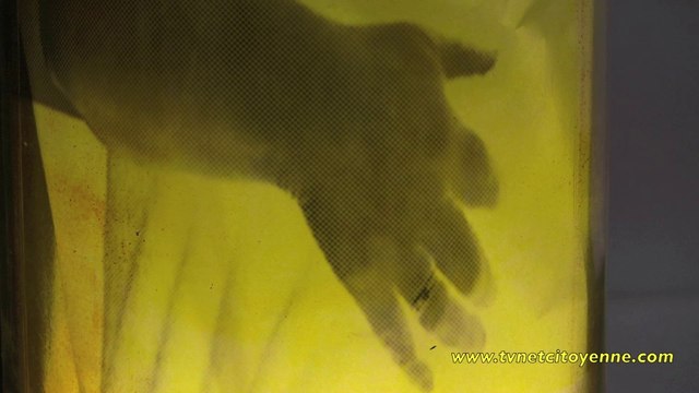 Chemins croisés à la chapelle Vaugelas