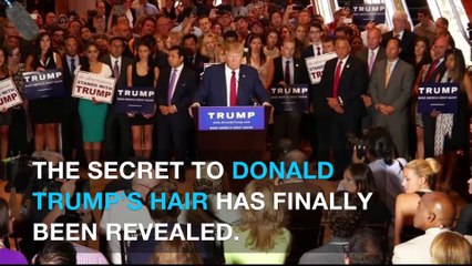 Trump's doctor claims President takes drug for hair growth