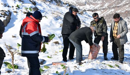 KOCASİNAN BELEDİYESİ DOĞAYA 5 TON YEM BIRAKTI