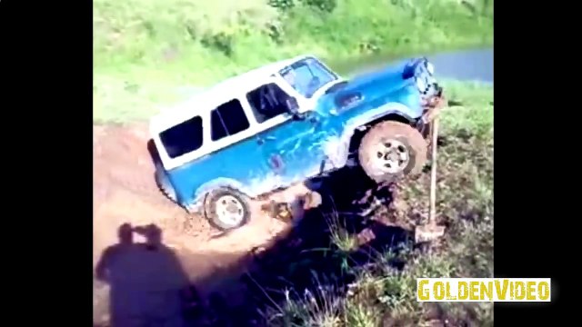 Приколы про кошек и людей самые смешные: дикие кошки [#4]