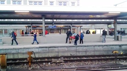 Un chien policier fait tomber une femme sur une voie ferrée