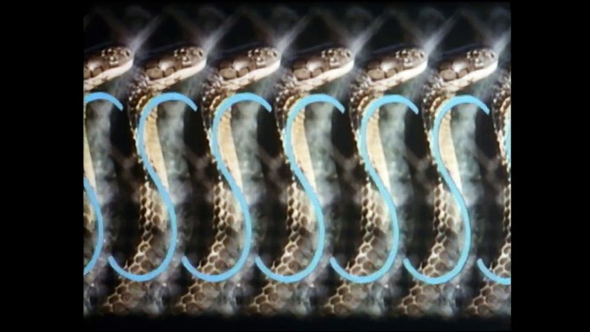 Sssssss 1973 Trailer (HD)
