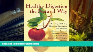 READ book  Healthy Digestion the Natural Way: Preventing and Healing Heartburn, Constipation, Gas,