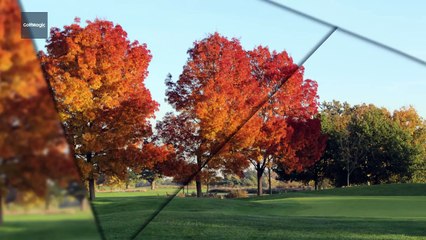 Golf Instruction Tip #6: How to improve your pitching