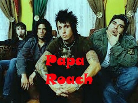 Papa Roach Gravity Guitar Cover