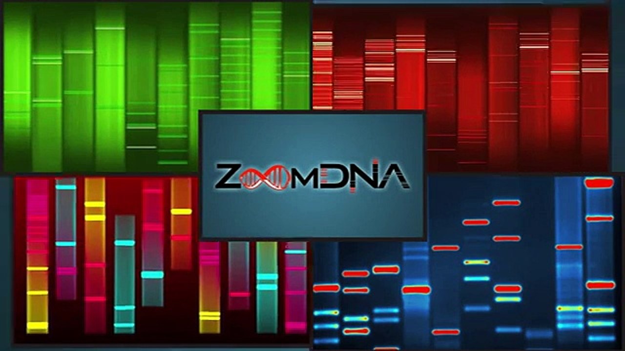 Zoom Media