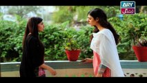 Haal-e-Dil Ep 87 - on Ary Zindagi in High Quality 2nd February 2017
