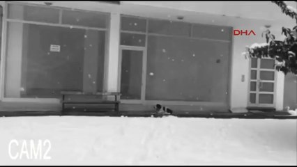 La caméra le filme à côté d'un chien sans défense, lorsqu'ils ont découvert ce qu'il lui faisait, ils étaient tous sous