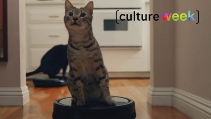 Culture Week by Culture Pub : spot anti-Trump et clichés du Super Bowlbis