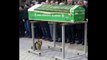 Ce petit chien fait ses adieux à son maitre lors de ses obsèques