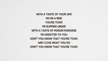 Ashley Tisdale - Toxic (Lyrics)
