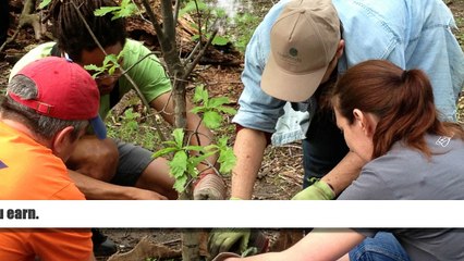 Easy Ways to Earn Rewards Even After Death