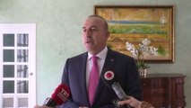 Çavuşoğlu: 