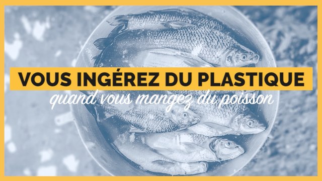 Vous ingérez du plastique quand vous mangez du poisson