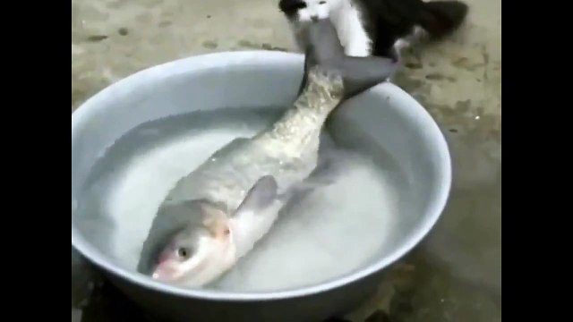 И такое бывает