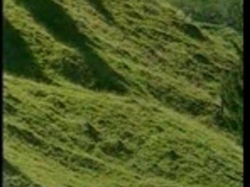 2/4 - Alpes Paysage - TV8 Mont Blanc - Combe Savoie