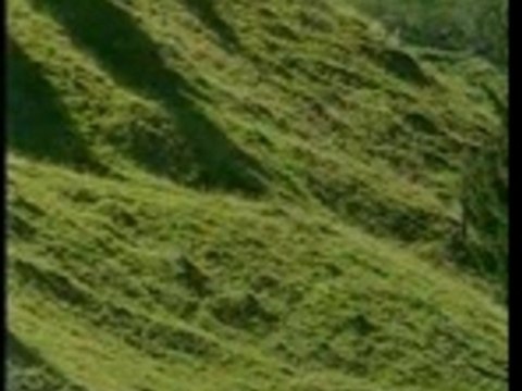 2/4 - Alpes Paysage - TV8 Mont Blanc - Combe Savoie