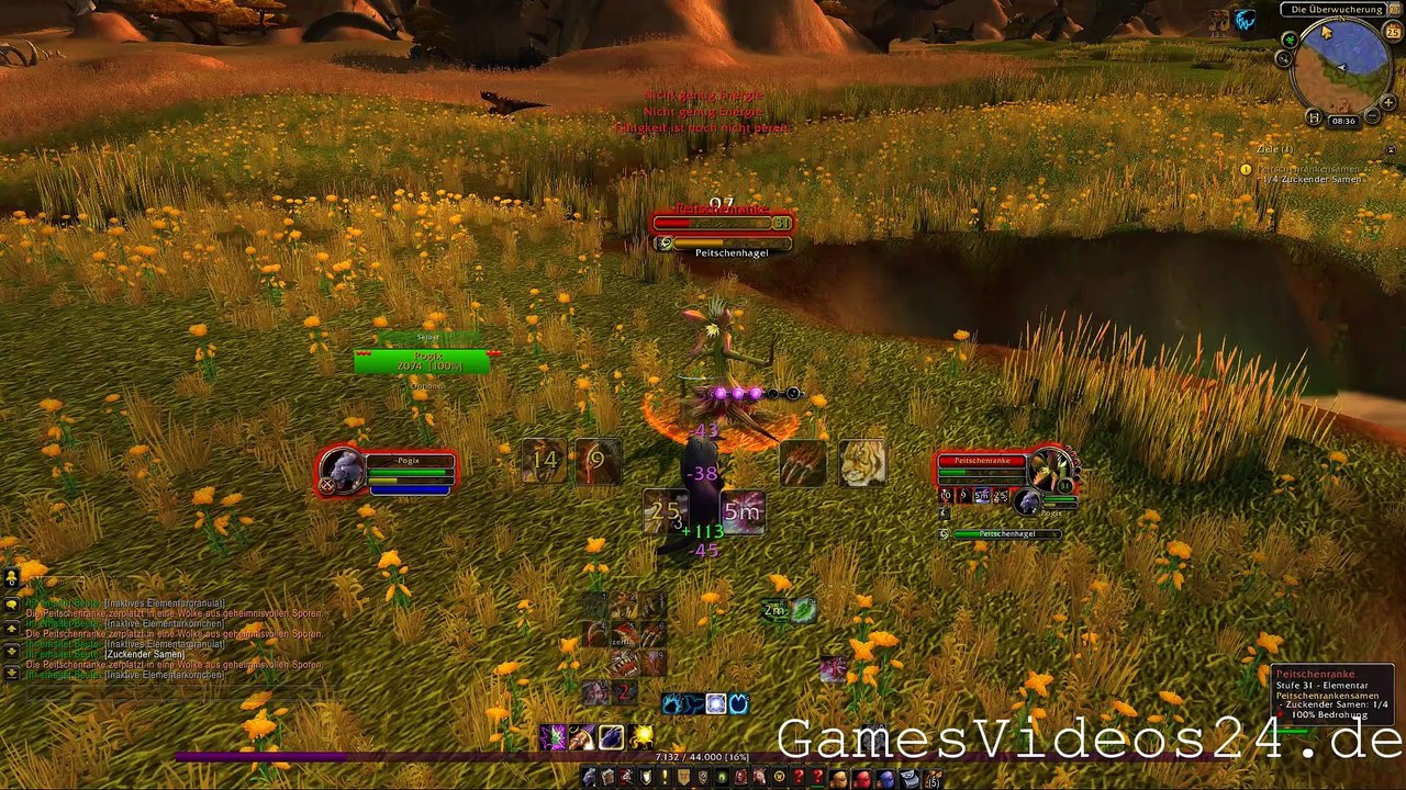 World of Warcraft Quest: Peitschenrankensamen