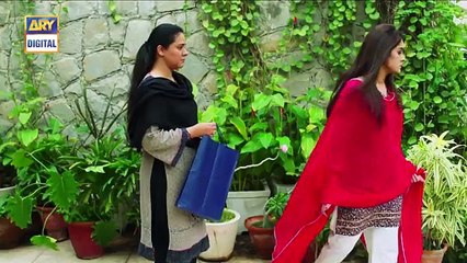 Mein Mehru Hoon Ep 136 - 2nd February 2017