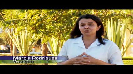 Fribarreiras Video Institucional