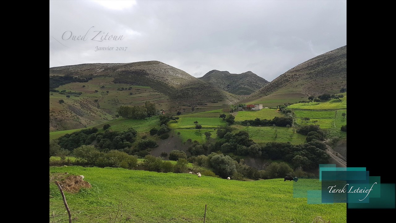 Oued Zitoun - Gouvernorat de Bizerte - Tunisie - Fin janvier 2017