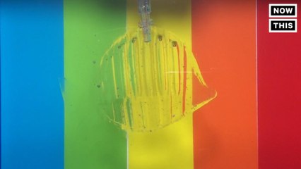 This Soft Translucent Robot Is Delicate Enough To Catch a Goldfish