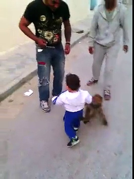 Monkey vs kid very funny video