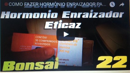 COMO FAZER HORMÔNIO ENRAIZADOR PARA BONSAI (Tutorial) - BonsaiCurso #18