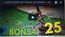 COMO FAZER UM TANUKI DE BONSAI + (ARAMAÇÃO) -BonsaiCurso #21