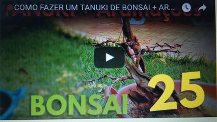 COMO FAZER UM TANUKI DE BONSAI + (ARAMAÇÃO) -BonsaiCurso #21