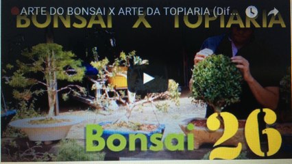 ARTE DO BONSAI X ARTE DA TOPIARIA %28Diferencas%29- BonsaiCurso #22