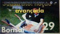 COMO FAZER O SUBSTRATO DO BONSAI - A -TERRA- (Nocoes Avancadas) - BonsaiCurso #24