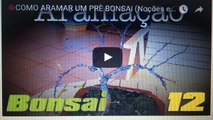 COMO ARAMAR UM PRE BONSAI (Noções e Demonstração)- BonsaiCurso #11