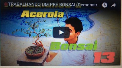 TRABALHANDO UM PRE BONSAI (Demonstração)- BonsaiCurso #12